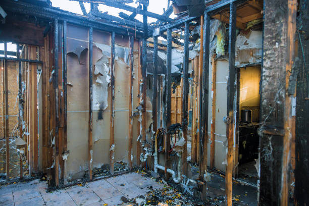 Professional Fire Damage Removal technician working in Burke, VA