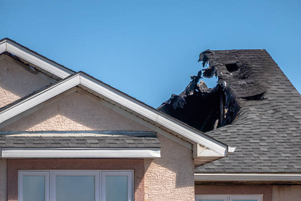 Top rated local Fire Damage Removal specialists in Burke, VA